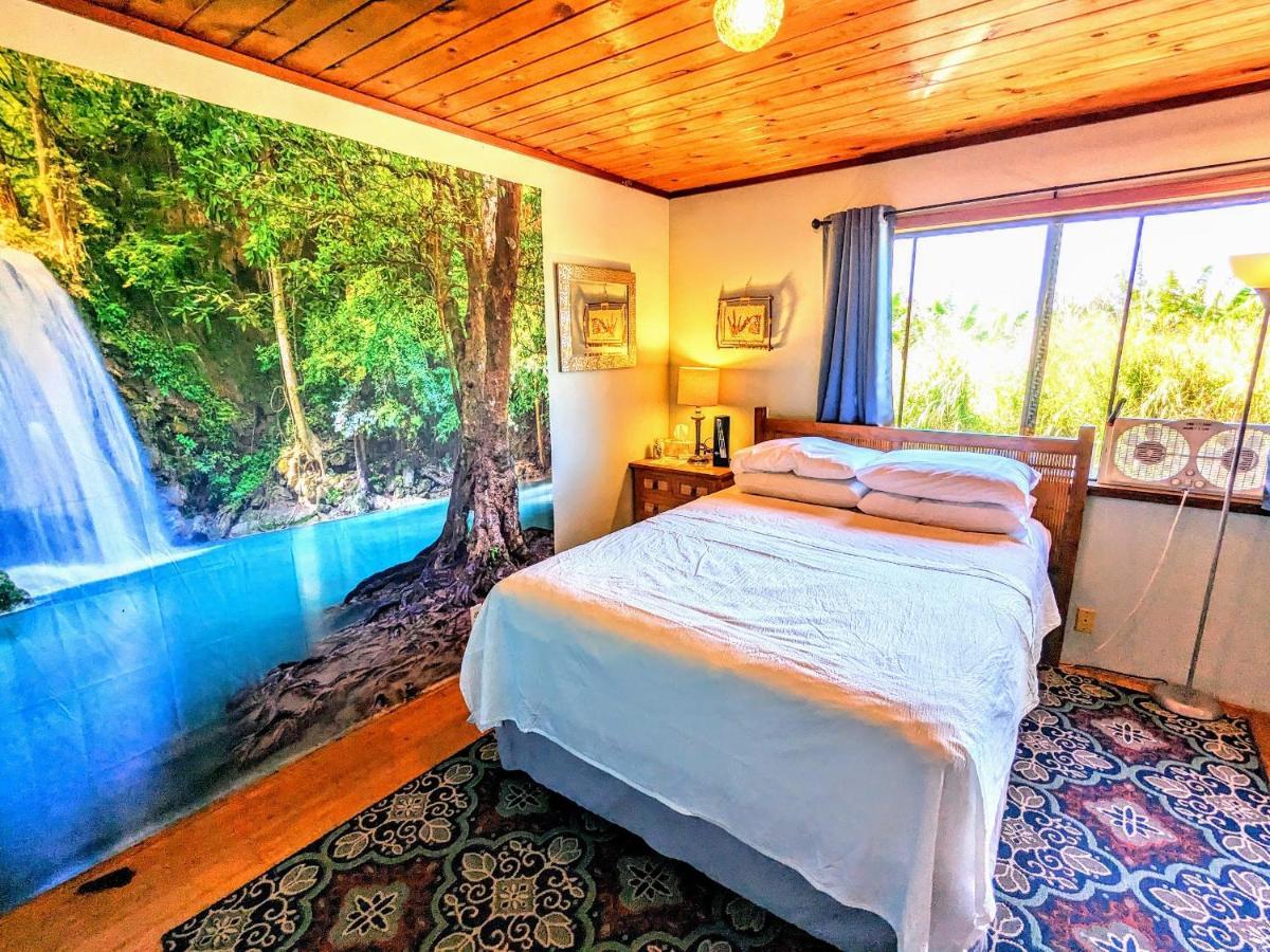 Hamakua Guesthouse Pepeekeo Екстериор снимка