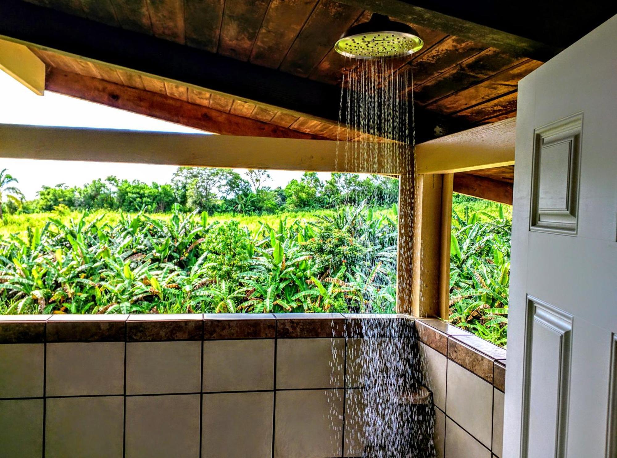 Hamakua Guesthouse Pepeekeo Екстериор снимка